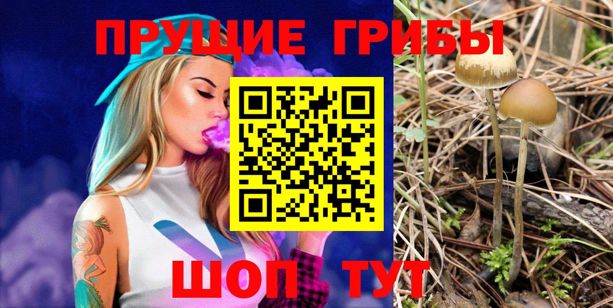 Галлюциногенные грибы MAGIC MUSHROOMS  Вход с VPN  Галлюциногенные грибы мухоморы  Волгодонск 